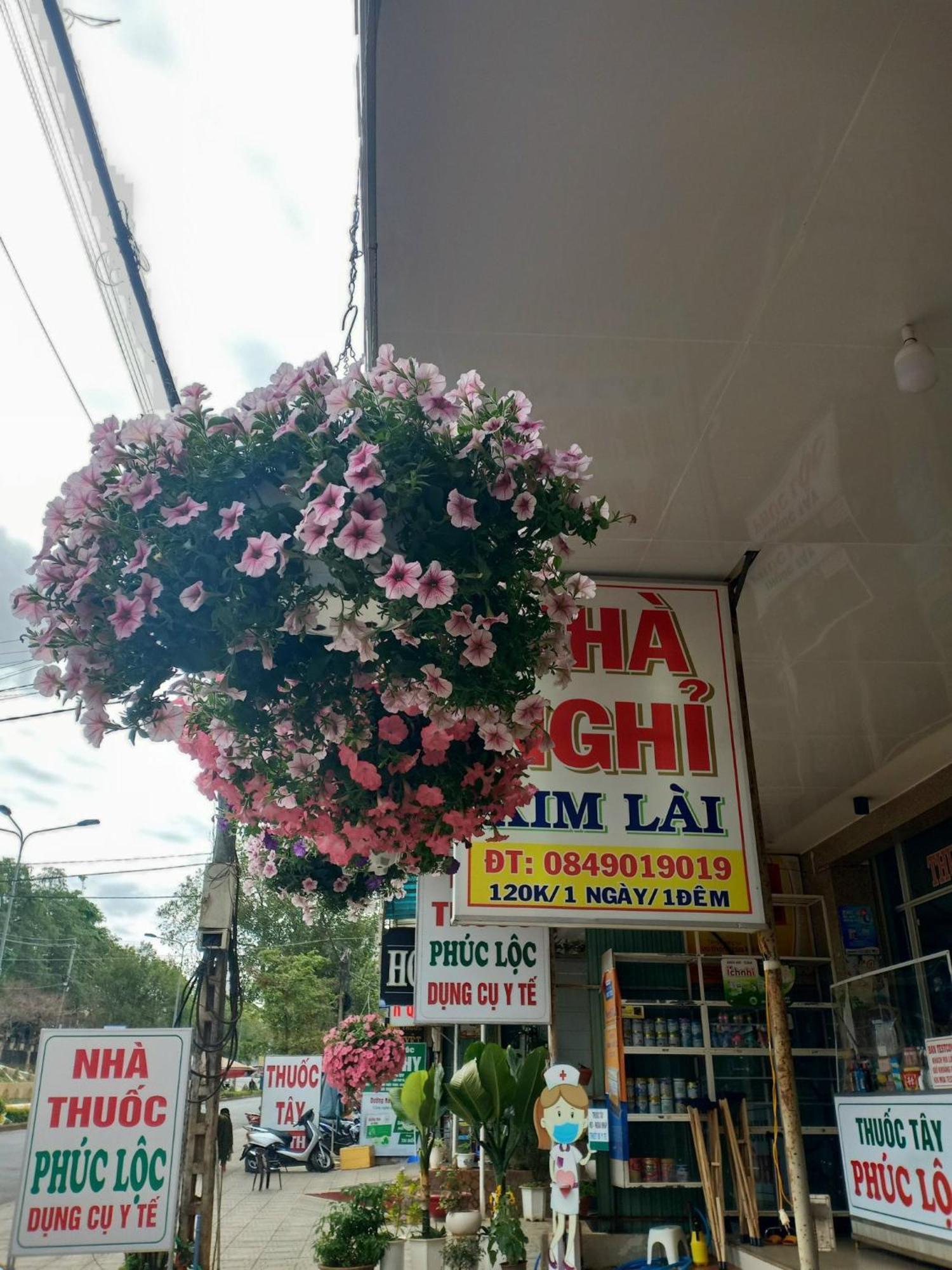 Nha Nghi Kim Lai - Doi Dien Benh Vien Tinh Gia Lai -132 Ton That Tung Pleiku Eksteriør billede